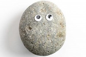 Pet Rock Walk Guide
