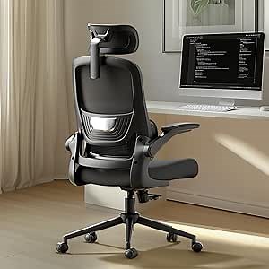 Hbada P1 Ergonomic Office Chair, Desk Chair with Adjustable Lumbar Support, Home Office Desk Chair with 2D Headrest, Flip-up Armrest, Swivel Computer Chair, Black