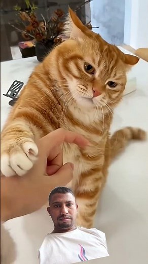 new video Tik Tok video Facebook video Instagram video video Facebook video YouTube video