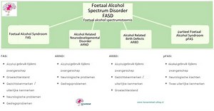 FASD Foetaal alcohol syndroom / Vanaf geboorte of kindertijd / Soorten hersenletsel hersenaandoeningen | Hersenletsel-uitleg.nl