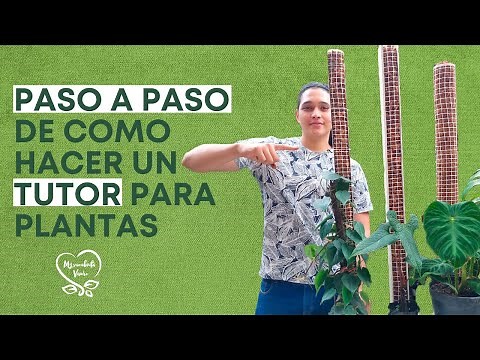 El PASO A PASO de elaborar un TUTOR para tus plantas trepadoras