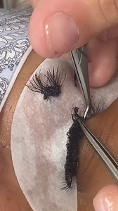 1.4M views · 5.8K reactions | #volumenruso #lashistaprincipiante #cursodepestañas #liftingdepestañas #LashistaPrincipiante #extensiondepestañas #PestañasPeloAPelo #pestañaspostizas #Pestañaspeloapelo #cejasperfectas #cursosonlinecertificados #liftingdepestanas #megavolumen | Beauty Pro | Facebook