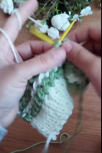 Hayal Knitting TikTok'ta