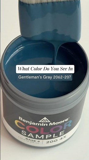 What Color Do You See In Gentleman’s Gray 2062-20? 👀 | #BenjaminMoore