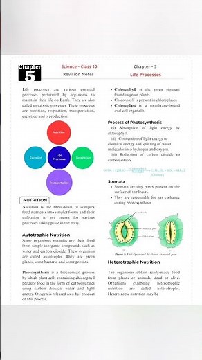 Class 10 Life Processes Test Science NCERT ‪@bioneetirrg‬