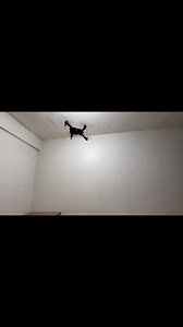 31K views · 359 reactions | Drone with Camera P1499 100% legit Hobby Zone Ph New stocks just arrived! Personal pick up is available Send message lang po para maassist kayo agad  | Hobby Zone Ph | Facebook