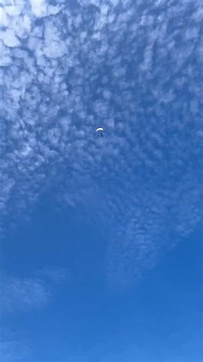 Tabula Rasa on Reels