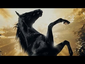 Black Beauty Theatrical Trailer (1994)