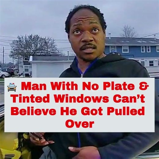 77K views · 1K reactions | Driver Pulled Over for Equipment and Compliance Concerns With Officers Maintaining Calm and Professional Guidance Learn why proper vehicle equipment helps avoid citations. #Police #BodyCam #TrafficSafety #VehicleCompliance #CommunityEducation | Justice Lens | Facebook