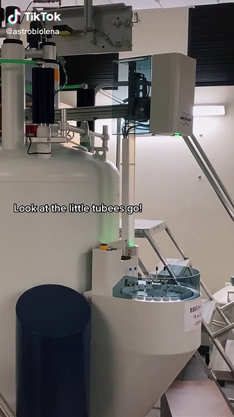 lenaunderwater on TikTok