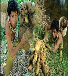 1.6K views · 103 reactions | Rich potato at up the hill | Quant-Amber TH | Facebook