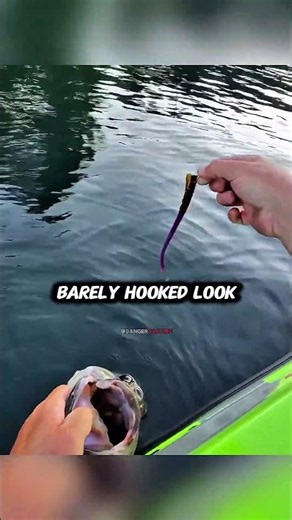 shorts sout bass catch and release 😭