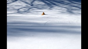 How clearing snow from fire hydrants can save lives