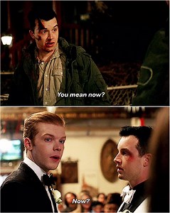 20K views · 416 reactions | Now? Oh how I do love good Gallavich parallel殺 | Gallavich | Facebook