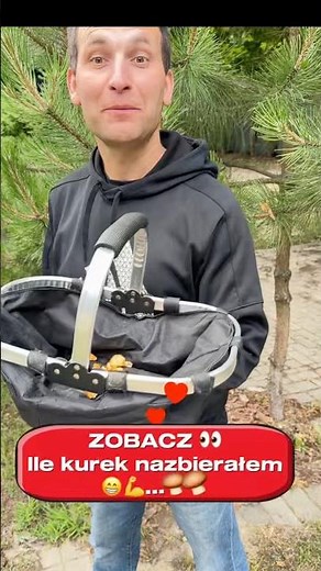 ZOBACZ👀Ile kurek nazbierałem 🍄‍🟫🍄‍🟫💪😁 #kurki #grzyby #grzybobranie #las #sos