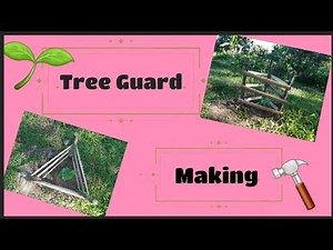 Week 3: Sapling Update ft. Tree Guard Making | Alvarez