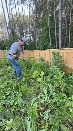 Helping My Neighbor Clear These Massive Weeds - Part 6 #freelawncare #lawncare