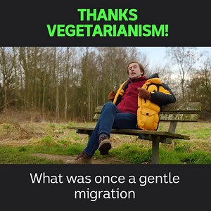 81K views · 571 reactions | Going vegetarian has some interesting benefits... | ABC iview | Facebook