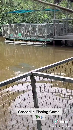 Explore Can Gio Mangrove Forest with Private Tour