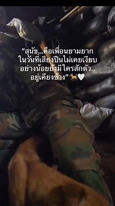 เพื่อนยามยากในวันที่เสียงปืนไม่เคยเงียบ #เจ้าสุนัข #ชายแดนไทยกัมพูชา 🇹🇭 | ไดอารี่แฟน นรจ.