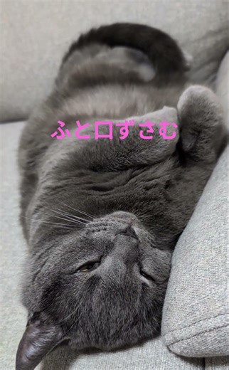 #歌詞が響きます#シニア #ゆるゆる #歌ってみた #朝活 #今日までそして明日から#吉田拓郎#