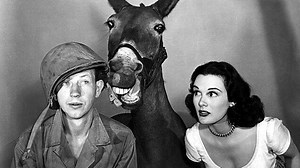 Francis (1950) 1080p 🎥 Donald O'Connor, Patricia Medina,