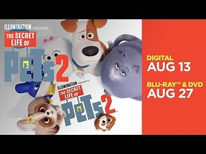 The Secret Life Of Pets 2 | All-New Mini Movies - Now on 4K, Blu-ray, DVD & Digital | Illumination