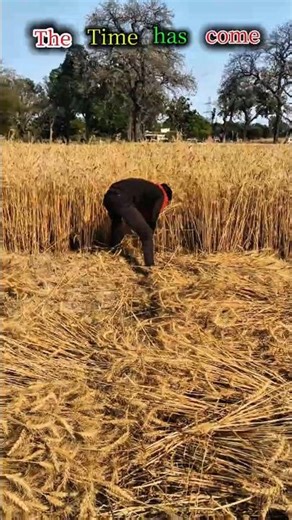 #The time has come 😂😂#reels #viralreels