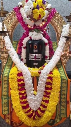 ஓம் நமசிவாய நமஹ 🙏❤️