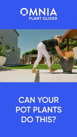 𝗔 𝘀𝗺𝗼𝗼𝘁𝗵 𝗺𝗼𝘃𝗲 𝗳𝗼𝗿 𝗮𝗹𝗹 𝗸𝗶𝗻𝗱𝘀 𝗼𝗳 𝗽𝗼𝘁𝘀! 🪴 The Omnia Plant Glider delivers a smooth, effortless glide. With just an easy push or pull, our unique patented omni wheels glide over all surfaces, 𝘄𝗼𝗻'𝘁 𝗿𝘂𝘀t, 𝘄𝗼𝗻𝘁 𝘁𝗶𝗽, 𝗷𝗮𝗺 𝗼𝗿 𝗯𝗿𝗲𝗮𝗸, confident movement in or outdoors. 🛡️ 3-year warranty 💰 30-day money-back guarantee 🇦🇺 100% Australian designed, owned & made 🏆 Australian Good Design Award winner ⭐️ Over 1,725 5-star verified reviews Shop now & get �