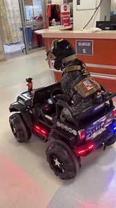 I got to do a therapy dog visit to Terre Haute Regional Hospital today . I got to visit with the patients, nurses, and Drs . It was cool to see those folks smile today . 🇺🇸🐾 | Dixie The Praying Dog