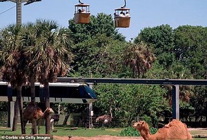 The biggest tourist traps in America according to visitors - NewsBreak