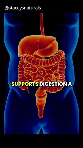 Damiana Benefits: The Ancient Herb for Mood, Energy & Hormonal Balance