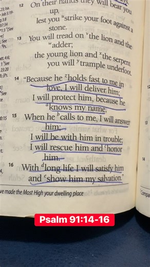 649K views · 10K reactions | Psalm 91:14-16. #Jesus #bibleverse | The Bible Verses | Facebook