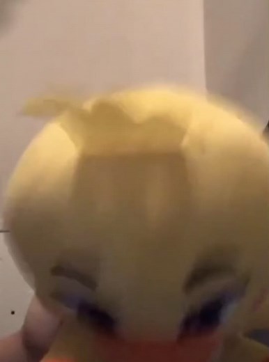 Discover the Ducktacular Plush Toy in Action