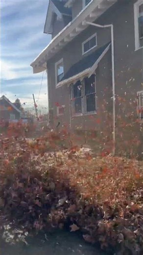 Fall cleanup #lawncare #leaves #redmax #shortvideo #teamwork #newjersey