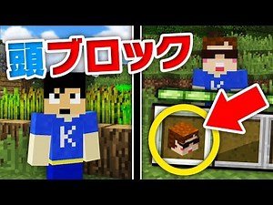 【マインクラフト】MODなしで有名実況者の頭ブロックを出す方法！！【マイクラ小技紹介】