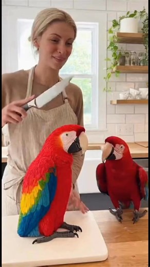 641K views · 4.4K reactions |  She cut the parrot cake… and the real parrot lost it! 列 “AAAAAAAAH!” The scream of betrayal is legendary!  This might be the funniest “Real vs Cake” moment ever! Tag a friend who would react like this parrot  #SavageParrot #FunnyAnimals #ParrotComedy #ViralVideo #RealVsCake #MacawReaction #CakeArt #BirdHumor | Savage Parrot | Facebook