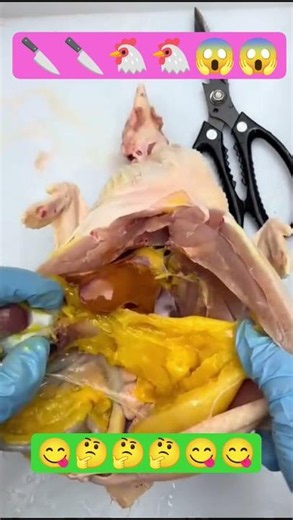 How to Clean & Gut a Whole Raw Chicken | Easy Chicken Prep Tutorial (Beginner Friendly)