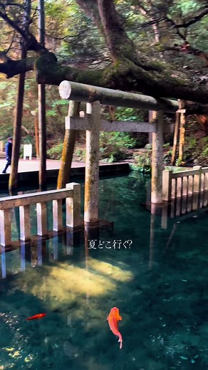 夏の旅行ガイド - 日本の涼しいスポット