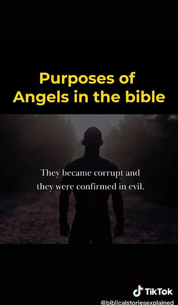 Purposes of angels #biblestoriesexplained #fyp #fypage #foryou #foryoupage #bible #biblicalcharacter #biblecharacters #faith #christian #biblestories