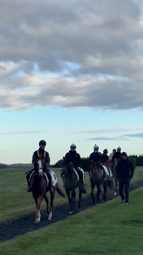 End-of-lot discussions as the string walks home through the crisp morning air ☁️🏇🏾 #ArchieWatsonRacing | Archie Watson Racing