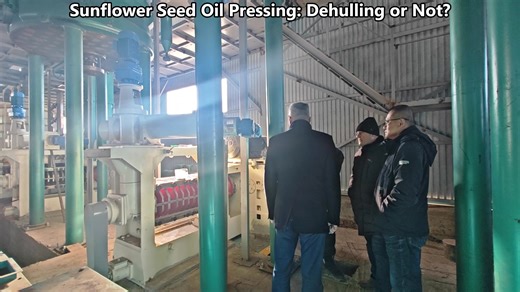 🌻 Sunflower Seed Oil Pressing: To Dehull or Not to Dehull? A seemingly simple decision can have a major impact on oil yield, product quality, and overall profitability of a sunflower oil production line. Sunflower seeds contain a high oil content of 40–50%, with shells accounting for 30–40% of the seed. While the shell provides structural support during pressing, it can also absorb oil and influence the color and clarity of the final product. That’s why, in modern sunflower oil processing, whet