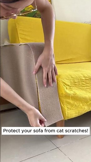 The Secret to Scratch-Free Sofas Revealed