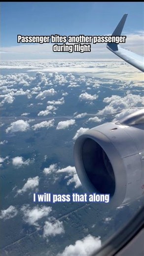 Passenger assaults another passenger on flight #aviation #airplane #shorts