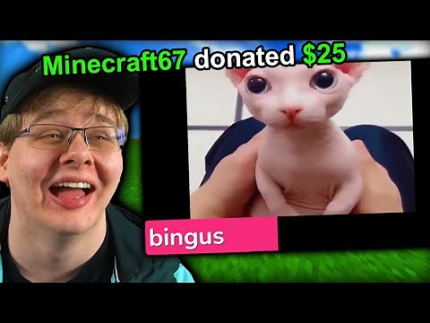 Minecraft, but my viewers sent Unusual Videos...