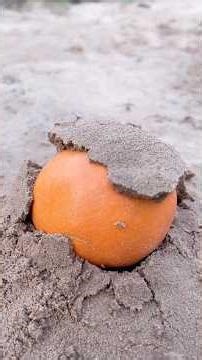 The shows CAMPING 🏕️ SMART ides and USEFUL #bushcraft #camping #outdoors #survival