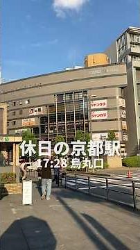 The Incredible Scale and Energy of Kyoto Station