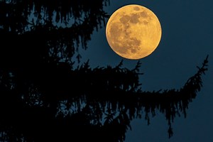 Full January wolf moon of 2021 to shine in the sky this week
