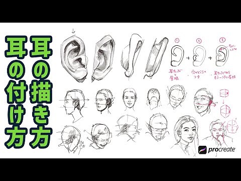【人物画】耳の描き方（ 耳の書き方 ） / イラスト上達 / 絵が上手くなる /絵の描き方
